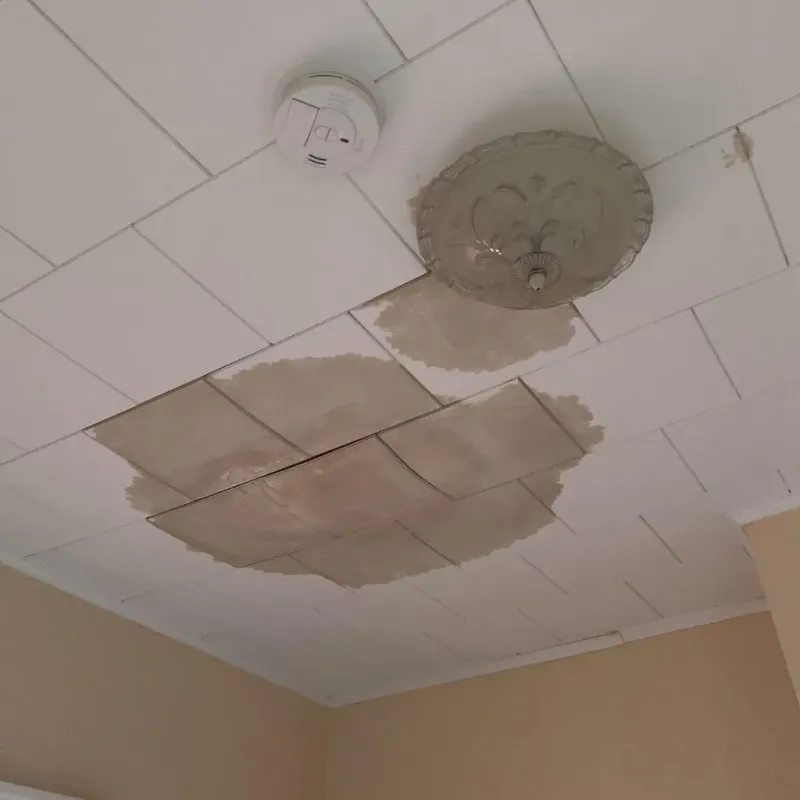 Ceiling Water Damage Repair in Norton County, KS